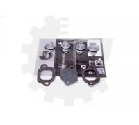 Kit de reparación, módulo de tubo de aspiración 49SKV529 ESEN SKV para OPEL FIAT