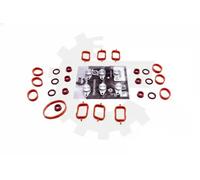 Kit de reparación, módulo de tubo de aspiración 49SKV568 ESEN SKV