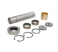 Kit de reparación, muñón de dirección ZF 4474298455ZF