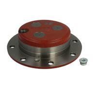 Kit de reparación para accionamiento de cubo de engranaje recto CARRARO 436540-CR