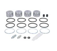 Kit de reparación, pinza de freno AUTOFREN SEINSA D4-1383C