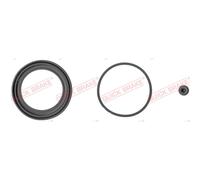 Kit de reparación, pinza de freno QUICK BRAKE 114-0093