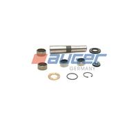 Kit de reparación, pivote AUGER 80623