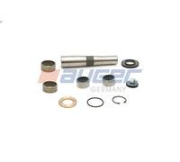 Kit de reparación, pivote del muñón del eje AUGER para ATEGO 4.249 1998-2004