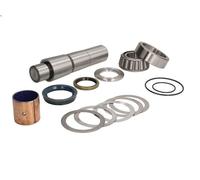 Kit de reparación, pivote del muñón del eje FEBI 18430 para T 10.64 2004-