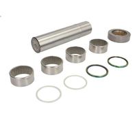 Kit de reparación, pivote del muñón del eje LEMA 215 para NG 5.96 1982-1990