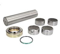 Kit de reparación, pivote del muñón del eje LEMA 229 para MK 9.57 1987-1996