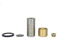Kit de reparación, pivote del muñón del eje LEMA 235 para NG 9.57 1973-1982