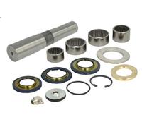Kit de reparación, pivote del muñón del eje LEMA 248 para ATEGO 6.374 1998-