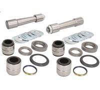 Kit de reparación, pivote del muñón del eje LEMA 402 para CF 65 5.88 2001-