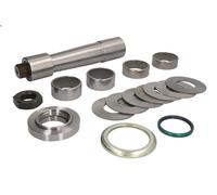 Kit de reparación, pivote del muñón del eje LEMA 408 para DAF CF 6.69 2015-