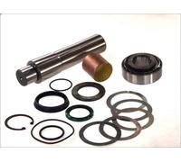 Kit de reparación, pivote del muñón del eje LEMA 502 para T 10.64 2004-2005