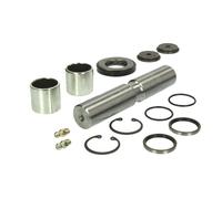 Kit de reparación, pivote FEBI BILSTEIN 01055
