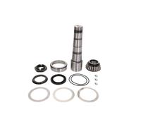 Kit de reparación, pivote FEBI BILSTEIN 47153