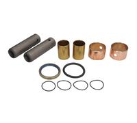 Kit de reparación. rodillo zapata de freno AUGER 53717