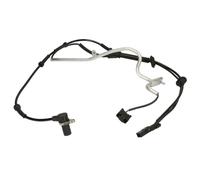 Kit de reparación, sensor ABS DELPHI SS20824