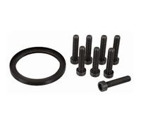 Kit de reparación, volante SACHS 3423 601 009