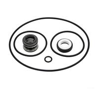 Kit de repuesto de bomba de piscina que incluye sello de eje PS 200 y O para anillos para XP2, XP2E, AquaFlo y Flo Master Series