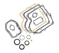 Kit de repuesto de carburador para cortacésped compatible con números de modelo para 494241 y 490525, paquete completo de juntas esenciales
