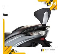 Shad V0YR11RV Soporte de Baúl para Piaggio Mp3 yourban 300 Lt, Negro