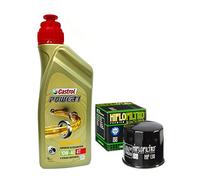 Kit de revisión 4L Castrol Power 1 10W40 filtro aceite HifloFiltro HF138
