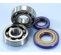 Kit de revisión del eje del motor rodamientos de aceite PTFE + FKM Polini Vespa 50 R L Special 125 Primavera 282.0005