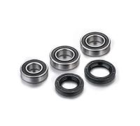 KIT DE RODAMIENTOS DE RUEDA TRASERA PARA GAS RIEJU EC 125