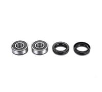KIT DE RODAMIENTOS DE RUEDA TRASERA PARA HM-VENT BAJA 125 4T