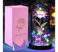 Kit de Rosas,La Bella y La Bestia Color Encantada,Elegante Cúpula de Cristal con Base Pino Luces LED,Día de la Madre Mujer Novia Cumpleaños Día de San Valentín Boda Dia de la Mujer