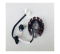 Kit De Rotor Interno Para Motocicleta Y Scooter Estator Encendido Bobina Magneto Piezas 11 Polos 5/8 Cables Para CYGNUS Para ZY125 Z Para ZY125T-3/4 Estator Bobina(4S5)