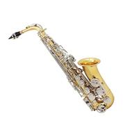 kit de saxofón Amantes De La Música Eb Saxofón Alto Latón Lacado Oro E Flat Saxofón Musical Con Estuche Accesorios Para Boquilla (Color : Gold silver)
