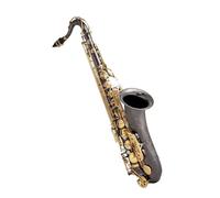 kit de saxofón Instrumento De Saxofón Alto Para Principiantes, Prueba De Rendimiento Para Adultos, Llave De Níquel Dorado, Costilla Doble