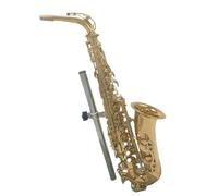kit de saxofón Instrumentos De Viento De Madera Saxofón Alto Profesional Botón Chapado En Oro Saxo Alto Instrumento Musical (Color : Leather Case)