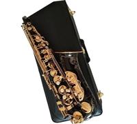 kit de saxofón Saxofón Alto Profesional Mi Bemol Negro Llave Dorada Saxofón Instrumento De Jazz (Color : Cloth Case)