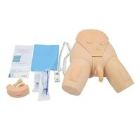 Kit de simulador de cateterismo uretral Modelo médico Masculino y Femenino for práctica médica educación de enfermería
