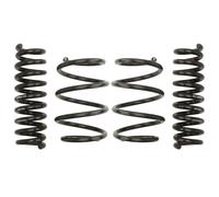 Kit de suspensión, muelles Pro-Kit EIBACH E10-20-031-05-22