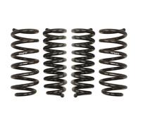 Kit de suspensión, muelles Pro-Kit EIBACH E10-25-036-02-22