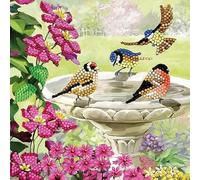 Kit de tarjetas para pintar con diamantes Crystal Art - Aves - Crea tu propia tarjeta de 18 x 18 cm - A partir de 8 a os