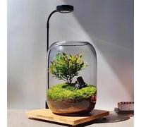 Kit de terrario de Navidad, terrario de plantas de vidrio, jarrón de micropaisaje de 6.3 x 8.6 pulgadas con luz, muñeco de nieve y pinos, para decoración de mesa de oficina en casa, Wardian, único