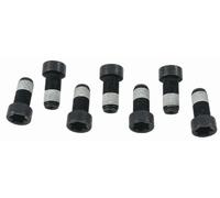 SACHS 1874 000 043 JKuego tornillos, volante