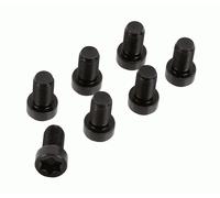 SACHS 1874 000 079 JKuego tornillos, volante