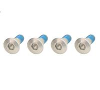 Kit de tornillos, disco de freno TRW MSS114-4