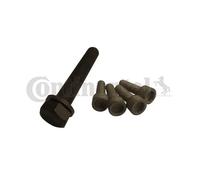 Kit de tornillos, polea-cigueñal Continental MS06