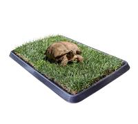 Kit de tortugas PetZolla 60 x 40 cm - Terrario Tortugas tierra de auténtica hierba natural con bandeja reutilizable - Caseta para tortugas de tierra natural - Dura hasta 5 meses