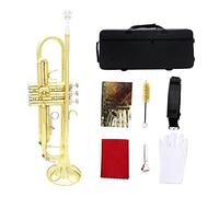 Kit De Trompeta Sib Estándar, Con Estuche Rígido, Boquilla, Paño Y Guantes, Adultos De Latón Tocan Instrumentos De Viento Occidentales, For Niños Y Adultos Principiantes (Color : Gold)