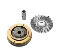 Kit de variador Juego de Pesas de Rodillo de 14 g Compatible con YP250 Majesty250 YP X MAX Majesty 250cc Modelo 100320290