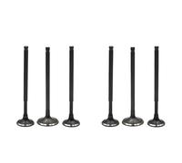 Kit de vástagos de válvulas de admisión y escape for motor de motocicleta VT600C Shadow VLX VT750DC2 Black Widow XL600V XL650V Transalp(2 pairs)