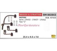 Kit Escobillas Motor Eléctrico Briggs & Stratton para Serie 176432 Tipo C 002843