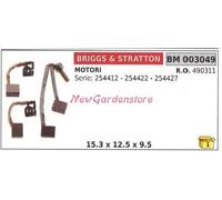 Kit Escobillas Motor Eléctrico Briggs & Stratton para Serie 254412 254422 003049