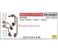 Kit Escobillas Motores Eléctricos Briggs & Stratton Serie 176432 176437 002867